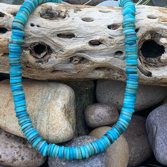 Blue Coquina Shell Necklace - Picture 2 of 3